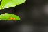  ( - CQR-0697)  @12 [ ] Copyright  Unspecified Unspecified