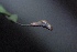  ( - CQR-0092)  @12 [ ] Copyright  Unspecified Unspecified