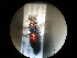  ( - CCDB-05715-E10)  @13 [ ] Copyright  G. Blagoev 2010 Unspecified