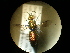  ( - CCDB-05715-F01)  @13 [ ] Copyright  G. Blagoev 2010 Unspecified