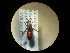  ( - CCDB-05715-H06)  @13 [ ] Copyright  G. Blagoev 2010 Unspecified