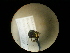  ( - CCDB-05715-H08)  @13 [ ] Copyright  G. Blagoev 2010 Unspecified