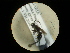  ( - CCDB-05716-A11)  @12 [ ] Copyright  G. Blagoev 2010 Unspecified