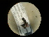  ( - CCDB-05716-B01)  @12 [ ] Copyright  G. Blagoev 2010 Unspecified