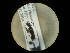  ( - CCDB-05716-B02)  @11 [ ] Copyright  G. Blagoev 2010 Unspecified