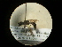 ( - CCDB-05716-C02)  @12 [ ] Copyright  G. Blagoev 2010 Unspecified