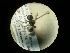  ( - CCDB-05716-C04)  @12 [ ] Copyright  G. Blagoev 2010 Unspecified