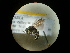  ( - CCDB-05716-D10)  @12 [ ] Copyright  G. Blagoev 2010 Unspecified