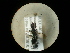  ( - CCDB-05716-E05)  @12 [ ] Copyright  G. Blagoev 2010 Unspecified