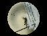  ( - CCDB-05716-F12)  @12 [ ] Copyright  G. Blagoev 2010 Unspecified