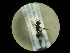  ( - CCDB-05716-G03)  @12 [ ] Copyright  G. Blagoev 2010 Unspecified