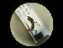  ( - CCDB-05716-G04)  @12 [ ] Copyright  G. Blagoev 2010 Unspecified