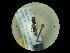  ( - CCDB-05716-G06)  @12 [ ] Copyright  G. Blagoev 2010 Unspecified