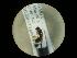  ( - CCDB-05716-G08)  @12 [ ] Copyright  G. Blagoev 2010 Unspecified