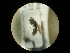  ( - CCDB-05716-G09)  @12 [ ] Copyright  G. Blagoev 2010 Unspecified