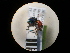  ( - CCDB-05794-F10)  @13 [ ] Copyright  G. Blagoev 2010 Unspecified