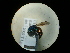  ( - CCDB-05794-F12)  @13 [ ] Copyright  G. Blagoev 2010 Unspecified