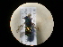  ( - CCDB-05794-G03)  @11 [ ] Copyright  G. Blagoev 2010 Unspecified