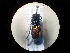  ( - CCDB-05794-G04)  @11 [ ] Copyright  G. Blagoev 2010 Unspecified