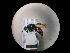  ( - CCDB-05794-G07)  @13 [ ] Copyright  G. Blagoev 2010 Unspecified