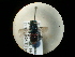  ( - CCDB-05794-H07)  @13 [ ] Copyright  G. Blagoev 2010 Unspecified
