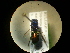  ( - CCDB-05795-E06)  @11 [ ] Copyright  G. Blagoev 2010 Unspecified