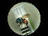  ( - CCDB-05795-F10)  @13 [ ] Copyright  G. Blagoev 2010 Unspecified
