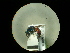  ( - CCDB-05795-F11)  @11 [ ] Copyright  G. Blagoev 2010 Unspecified