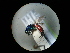  ( - CCDB-05795-F12)  @11 [ ] Copyright  G. Blagoev 2010 Unspecified