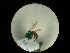  ( - CCDB-05795-G04)  @13 [ ] Copyright  G. Blagoev 2010 Unspecified