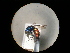  ( - CCDB-05795-G05)  @13 [ ] Copyright  G. Blagoev 2010 Unspecified