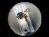  ( - CCDB-05795-G10)  @13 [ ] Copyright  G. Blagoev 2010 Unspecified