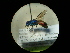  ( - CCDB-05795-G11)  @13 [ ] Copyright  G. Blagoev 2010 Unspecified