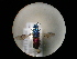  ( - CCDB-05795-H03)  @13 [ ] Copyright  G. Blagoev 2010 Unspecified