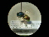  ( - CCDB-05795-H10)  @11 [ ] Copyright  G. Blagoev 2010 Unspecified