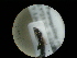  ( - CCDB-05798-A04)  @12 [ ] Copyright  G. Blagoev 2010 Unspecified