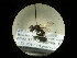  ( - CCDB-05798-A11)  @12 [ ] Copyright  G. Blagoev 2010 Unspecified