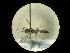  ( - CCDB-05798-C03)  @12 [ ] Copyright  G. Blagoev 2010 Unspecified