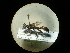  ( - CCDB-05798-E02)  @12 [ ] Copyright  G. Blagoev 2010 Unspecified