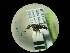  (Ampulex fasciata - CCDB-05798-E07)  @11 [ ] Copyright  G. Blagoev 2010 Unspecified