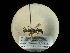  ( - CCDB-05798-E08)  @11 [ ] Copyright  G. Blagoev 2010 Unspecified