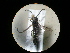  ( - CCDB-05798-F06)  @12 [ ] Copyright  G. Blagoev 2010 Unspecified