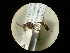  ( - CCDB-05798-G06)  @12 [ ] Copyright  G. Blagoev 2010 Unspecified