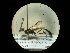  ( - CCDB-05798-H02)  @12 [ ] Copyright  G. Blagoev 2010 Unspecified