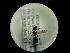  ( - CCDB-06434-A04)  @12 [ ] CreativeCommons - Attribution (2010) Gergin Blagoev, Centre for Biodiversity Genomics Centre for Biodiversity Genomics