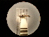  (Crossocerus tarsatus tarsatus - CCDB-06434-A08)  @11 [ ] CreativeCommons - Attribution (2010) Gergin Blagoev, Centre for Biodiversity Genomics Centre for Biodiversity Genomics