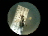  ( - CCDB-06434-B01)  @12 [ ] CreativeCommons - Attribution (2010) Gergin Blagoev, Centre for Biodiversity Genomics Centre for Biodiversity Genomics