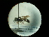  ( - CCDB-09753-B02)  @11 [ ] Copyright  G. Blagoev 2010 Unspecified