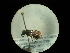 ( - CCDB-09753-B03)  @11 [ ] Copyright  G. Blagoev 2010 Unspecified