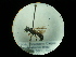  ( - CCDB-09753-B05)  @11 [ ] Copyright  G. Blagoev 2010 Unspecified